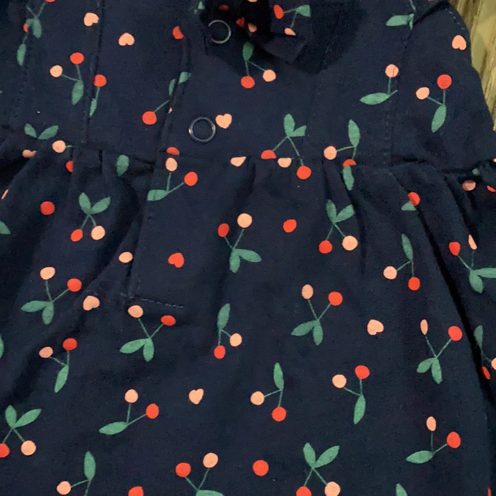 Carter’s Dress - Picture 2 of 5
